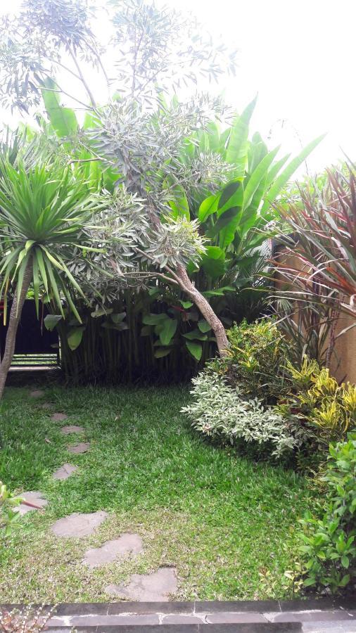De Mangku Hotel Ubud Eksteriør billede